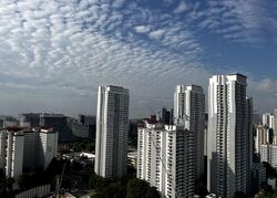 One Holland Village Residences (D10), Apartment #501317351